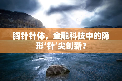 胸针针体，金融科技中的隐形‘针’尖创新？