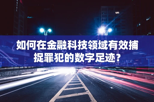 如何在金融科技领域有效捕捉罪犯的数字足迹？