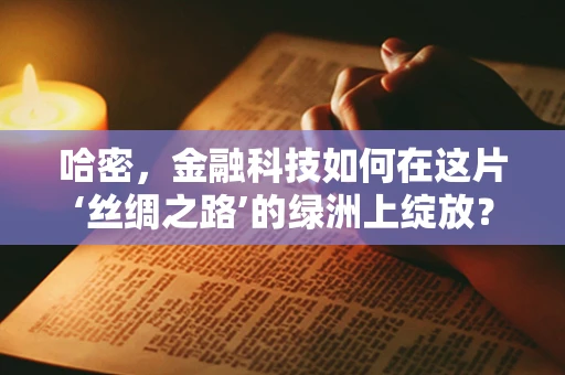 哈密，金融科技如何在这片‘丝绸之路’的绿洲上绽放？