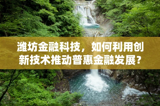 潍坊金融科技，如何利用创新技术推动普惠金融发展？