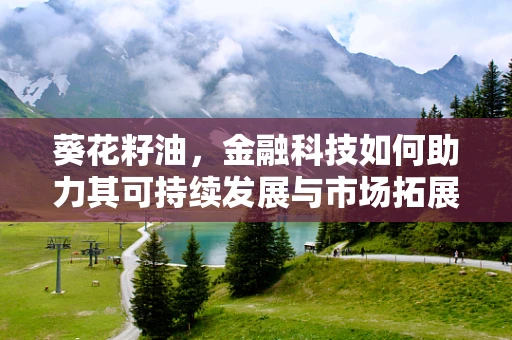 葵花籽油，金融科技如何助力其可持续发展与市场拓展？