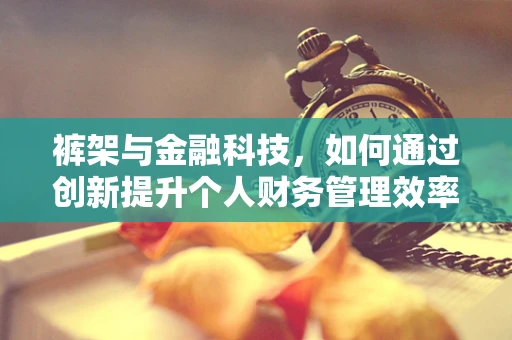 裤架与金融科技，如何通过创新提升个人财务管理效率？