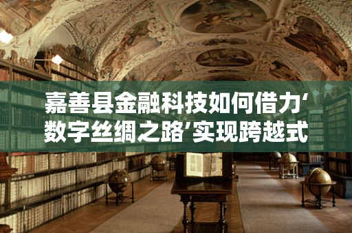 嘉善县金融科技如何借力‘数字丝绸之路’实现跨越式发展？