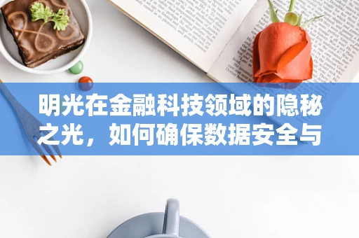 明光在金融科技领域的隐秘之光，如何确保数据安全与隐私保护？