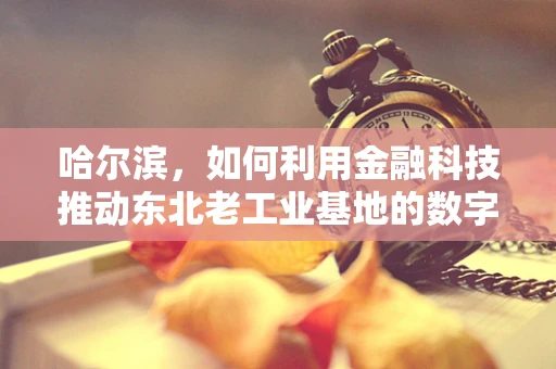 哈尔滨，如何利用金融科技推动东北老工业基地的数字化转型？