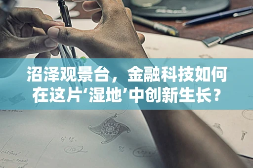 沼泽观景台，金融科技如何在这片‘湿地’中创新生长？
