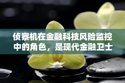 侦察机在金融科技风险监控中的角色，是现代金融卫士的‘千里眼’吗？