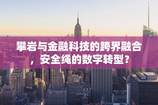攀岩与金融科技的跨界融合，安全绳的数字转型？