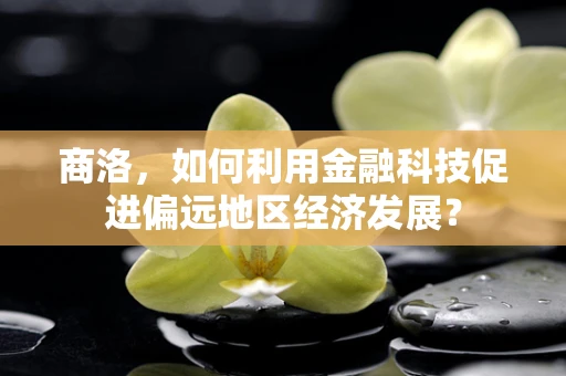 商洛，如何利用金融科技促进偏远地区经济发展？