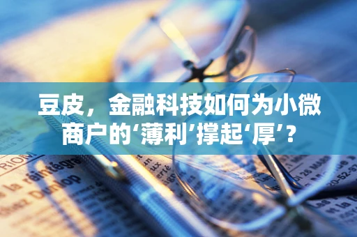 豆皮，金融科技如何为小微商户的‘薄利’撑起‘厚’？