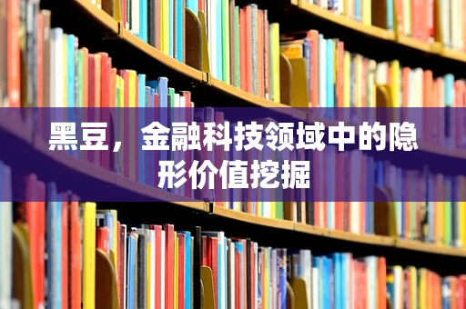 黑豆，金融科技领域中的隐形价值挖掘