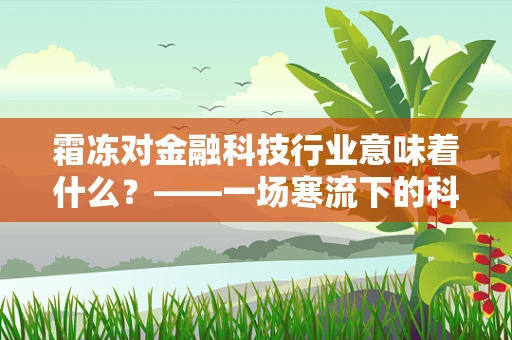 霜冻对金融科技行业意味着什么？——一场寒流下的科技韧性考验