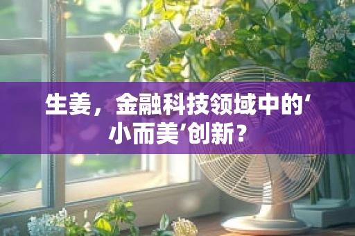 生姜，金融科技领域中的‘小而美’创新？