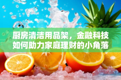 厨房清洁用品架，金融科技如何助力家庭理财的小角落?