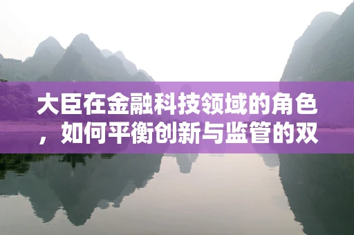 大臣在金融科技领域的角色，如何平衡创新与监管的双刃剑？