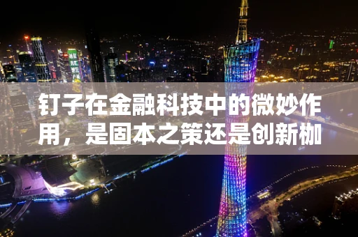 钉子在金融科技中的微妙作用，是固本之策还是创新枷锁？