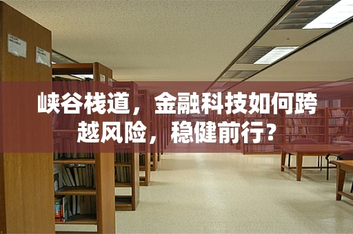 峡谷栈道，金融科技如何跨越风险，稳健前行？