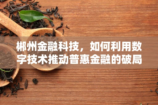 郴州金融科技，如何利用数字技术推动普惠金融的破局之问？