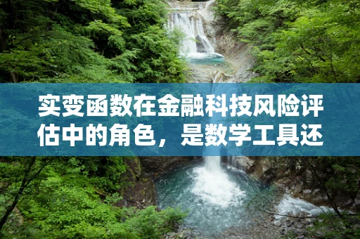 实变函数在金融科技风险评估中的角色，是数学工具还是决策利器？