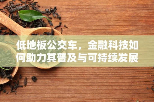 低地板公交车，金融科技如何助力其普及与可持续发展？
