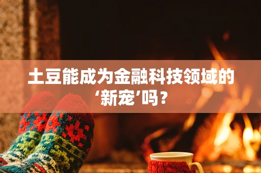 土豆能成为金融科技领域的‘新宠’吗？
