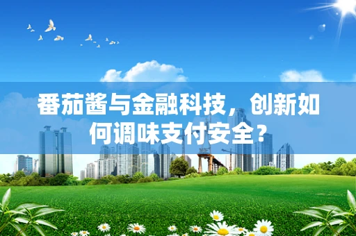 番茄酱与金融科技，创新如何调味支付安全？
