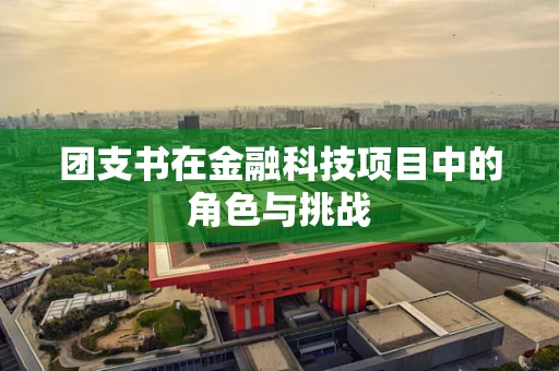 团支书在金融科技项目中的角色与挑战