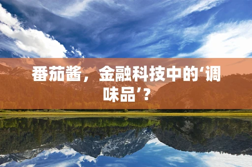 番茄酱，金融科技中的‘调味品’？
