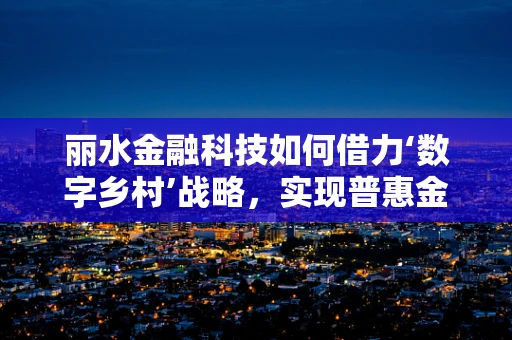 丽水金融科技如何借力‘数字乡村’战略，实现普惠金融新飞跃？