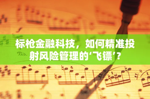 标枪金融科技，如何精准投射风险管理的‘飞镖’？
