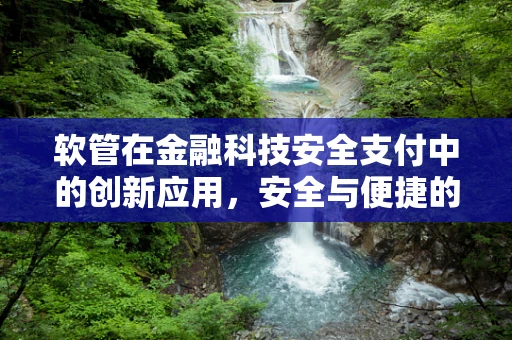 软管在金融科技安全支付中的创新应用，安全与便捷的完美平衡？