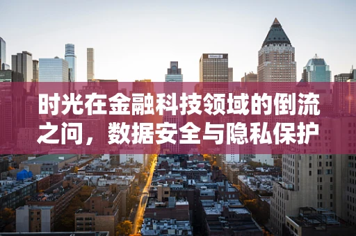时光在金融科技领域的倒流之问，数据安全与隐私保护的永恒挑战