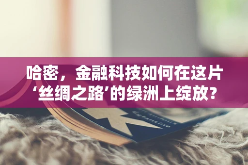 哈密，金融科技如何在这片‘丝绸之路’的绿洲上绽放？