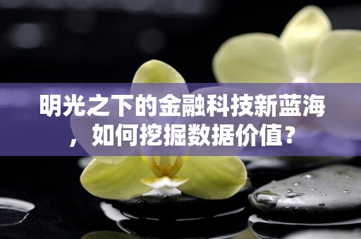 明光之下的金融科技新蓝海，如何挖掘数据价值？