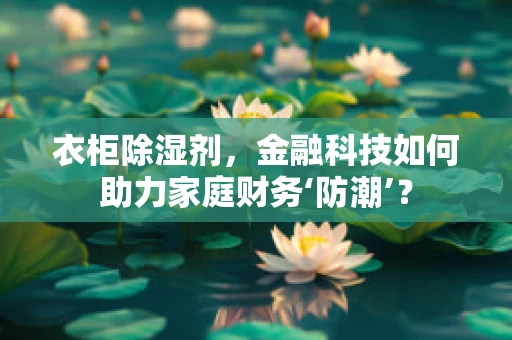 衣柜除湿剂，金融科技如何助力家庭财务‘防潮’？