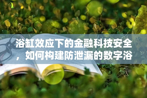 浴缸效应下的金融科技安全，如何构建防泄漏的数字浴池？