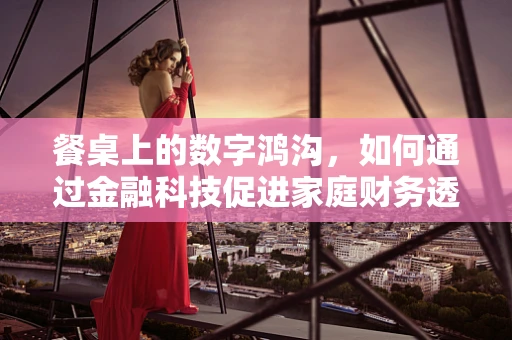餐桌上的数字鸿沟，如何通过金融科技促进家庭财务透明？