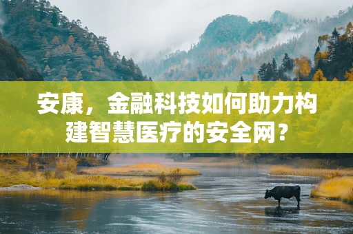 安康，金融科技如何助力构建智慧医疗的安全网？