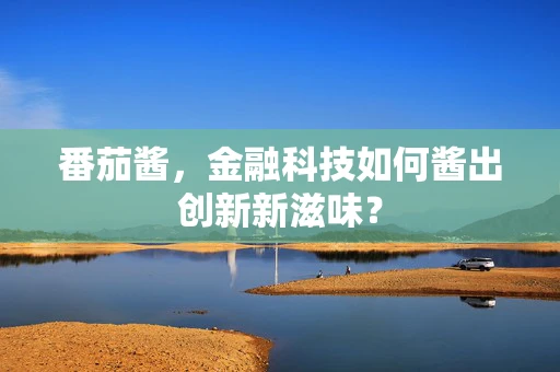 番茄酱，金融科技如何酱出创新新滋味？