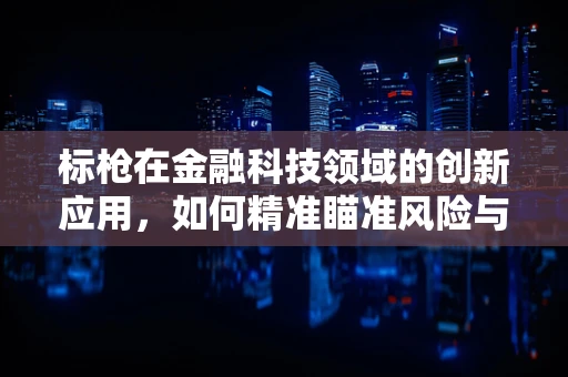 标枪在金融科技领域的创新应用，如何精准瞄准风险与效率？
