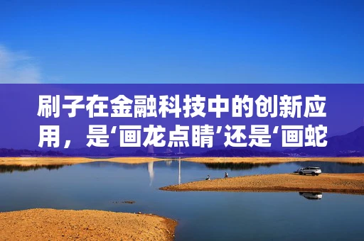 刷子在金融科技中的创新应用，是‘画龙点睛’还是‘画蛇添足’？