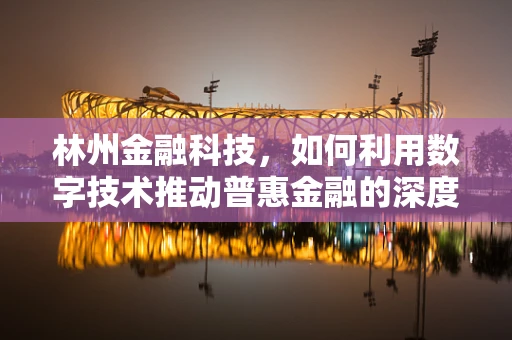 林州金融科技，如何利用数字技术推动普惠金融的深度发展？