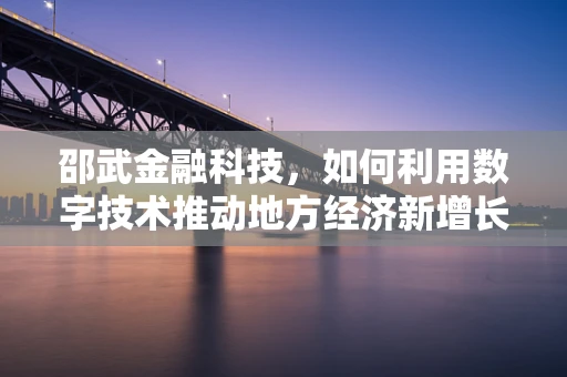 邵武金融科技，如何利用数字技术推动地方经济新增长？