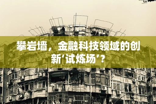 攀岩墙，金融科技领域的创新‘试炼场’？