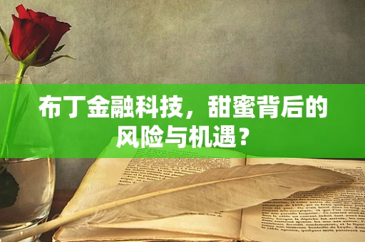 布丁金融科技，甜蜜背后的风险与机遇？