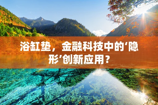 浴缸垫，金融科技中的‘隐形’创新应用？