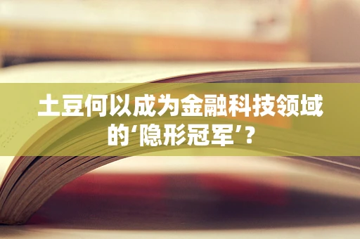 土豆何以成为金融科技领域的‘隐形冠军’？