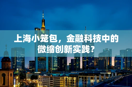 上海小笼包，金融科技中的微缩创新实践？