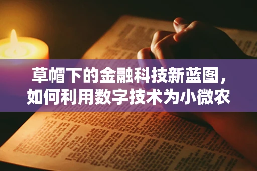草帽下的金融科技新蓝图，如何利用数字技术为小微农户‘遮阳’？