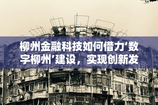 柳州金融科技如何借力‘数字柳州’建设，实现创新发展？